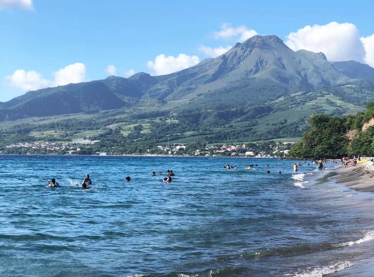 Carribbean Madicreole Au Carbet Villa Le Carbet Kültér fotó